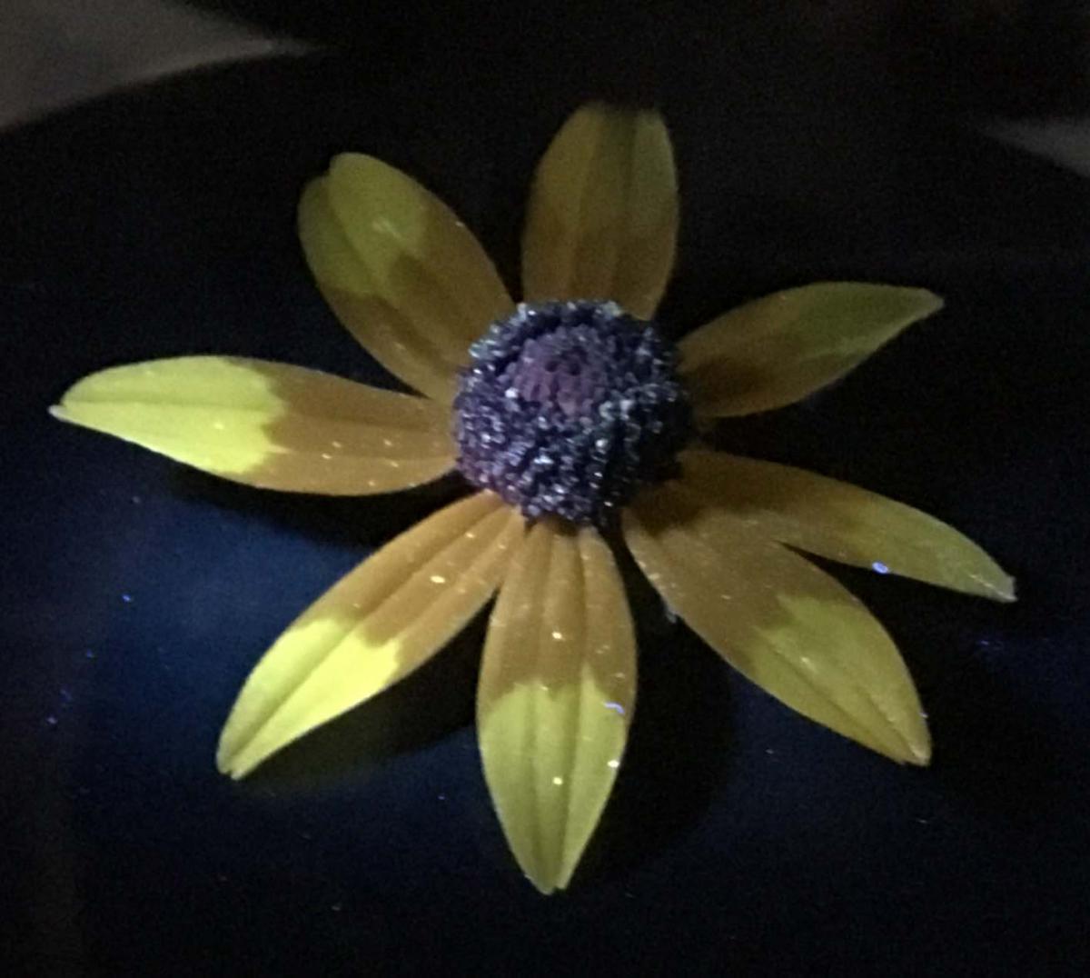 Flower with yellow petals