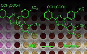 Molecule diagram