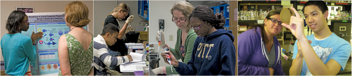 A collage of pictures of students working together